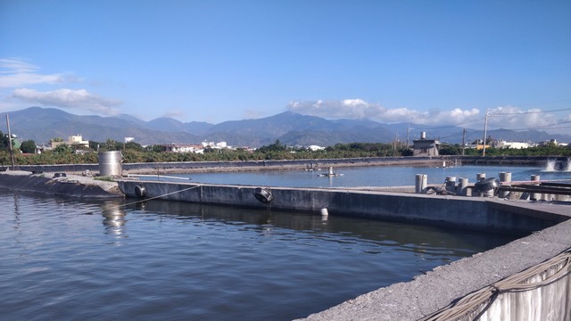 前面有漁塭，後面有山，天氣很好