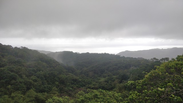 從山上高的地方拍的風景，下半截都是綠色的森林，上半截都是灰色的雲，最後面應該有海，但是因為我的手機相機不好，看不到海。