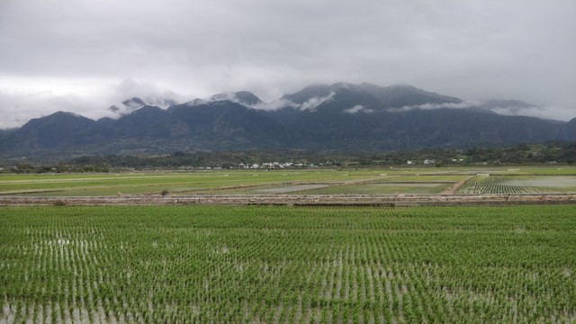 稻田的照片，陰天，後面有山，在山腳有小鎮，山的上部藏在雲之後