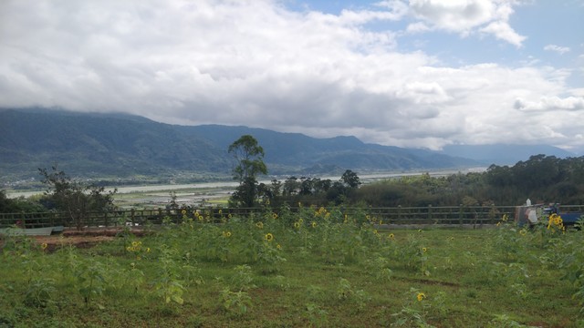 從崙山村拍的照片，天氣好，前面有向日葵的田，後面有很遠的山谷