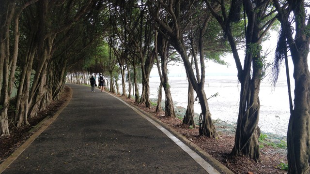 從「十七公里海岸線自行車道」拍的照片，陰天，路上有兩個人在走路，路兩邊都有樹，看不到天空，後面有海